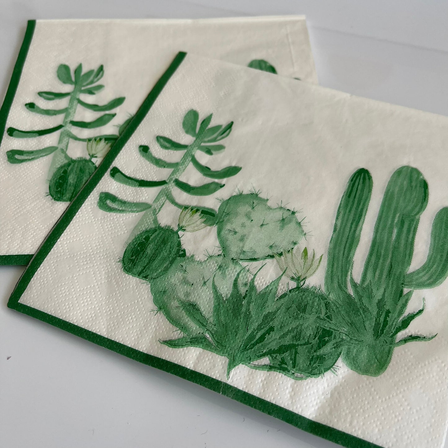 Servilletas Cactus Garden