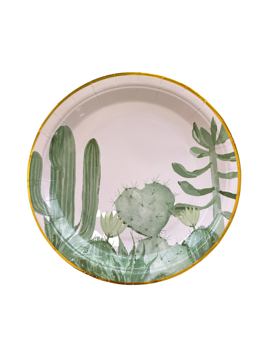 Platos Cactus Garden Grande